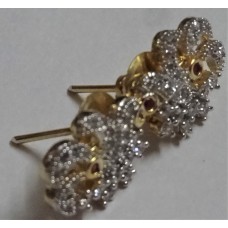 EarRing-Fl165