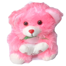 Teddy -Sweet Pink Color